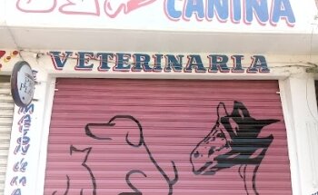 Clínica Veterinaria y Estética Canina, Veterinario Tras la huella