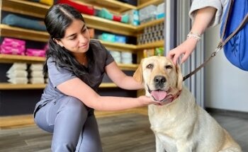 Clínica Veterinaria Mokay