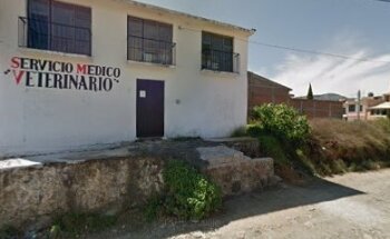Consultorio Médico Veterinario