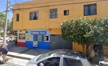 Veterinaria Xólolt
