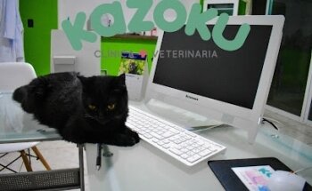 Clinica veterinaria Kazoku