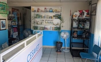 Veterinaria Cesavet