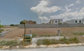 Mundo + Animal Clínica Veterinaria