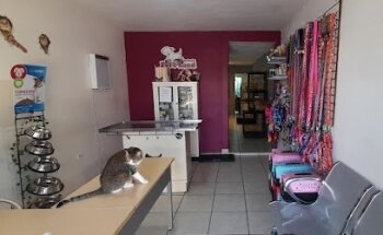 Pet's Land Clínica Veterinaria