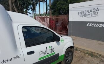 Dr Acosta veterinario