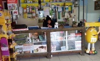 Veterinaria Del Valle