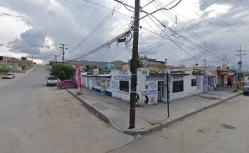 Veterinaria división del Norte