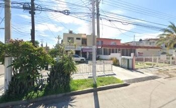 Alcanum Pinar de la Calma