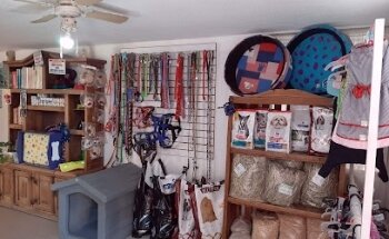 Veterinaria Lambie Clinic