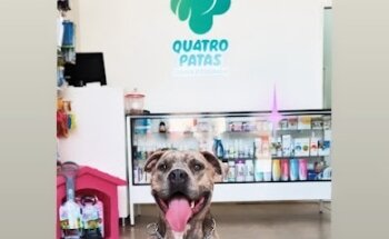 Qu4troPatas Clínica Veterinaria