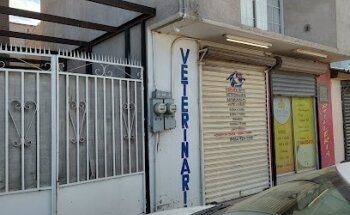 PrevenPets - Veterinaria