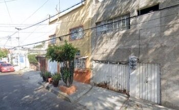 Veterinaria Cachorros Medicina Veterinaria