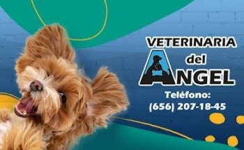 Veterinaria del Ángel
