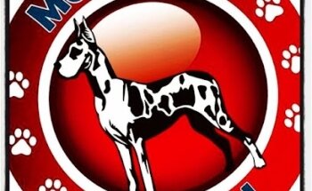 Medi Vets Veterinaria