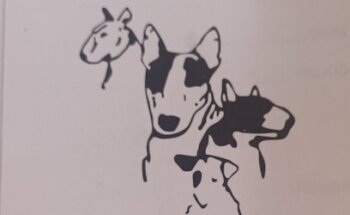 Veterinaria Talismán