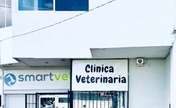 SmartVet Clínica Veterinaria
