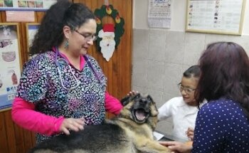 Veterinaria SUKY ‍