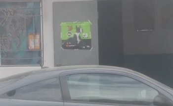 Veterinaria y estetica canina