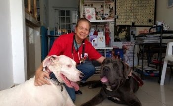 Clínica veterinaria pelos, plumas y garras