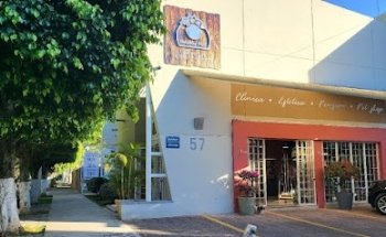 Veterinario Healthy Pets