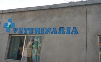 Veterinaria San Lorenzo