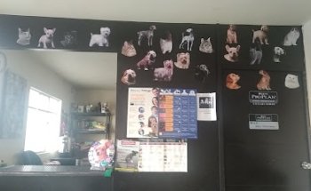 Hospital y Servicios Veterinarios