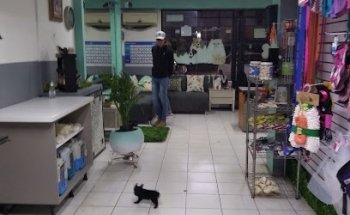 Clinica Veterinaria Volkovet. Dartacan