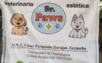 Sr Paws