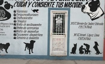 Veterinaria Mundo Vet
