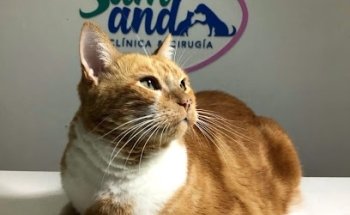 Mundo de Ody - Croquetas y mas.