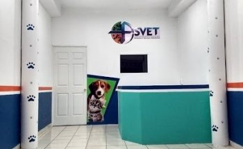 ASVET: Alimentos y Servicios Veterinarios