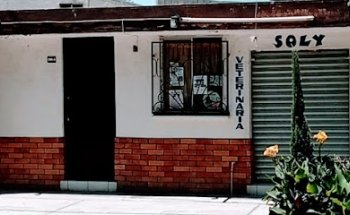 Veterinaria Soly