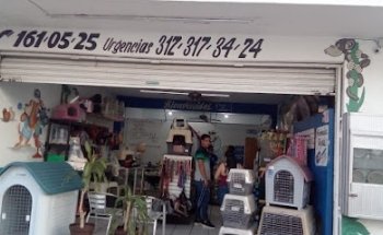 Estética canina Dr Mario