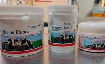 Veterinarian “Puma”