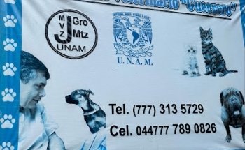Veterinaria Guerrero