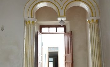 Consultorio Veterinario 