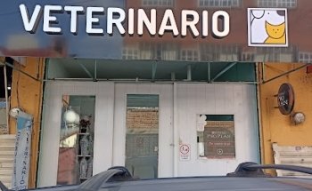 Veterinario Vista Bella