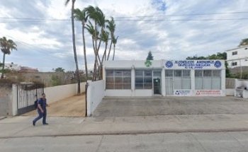 Doc&Dog Clínica Veterinaria