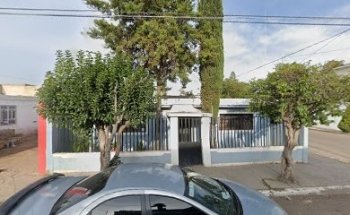 Clinica Veterinaria Jungla