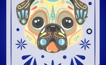 VETERINARIA SUPERVET