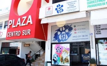 PET SET Plaza Centro Sur (Querétaro)