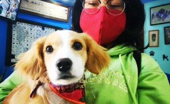 Clínica Veterinaria del Centro