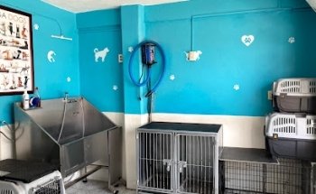 Centro Integral Veterinario