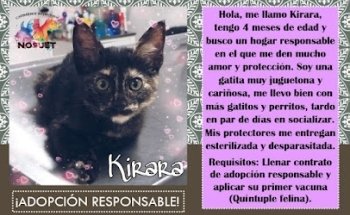 ???????????????????????????????????????????? ???????????????????????????????????????????? ????????????????????????