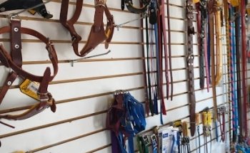 VETERINARIA SAN MIGUEL