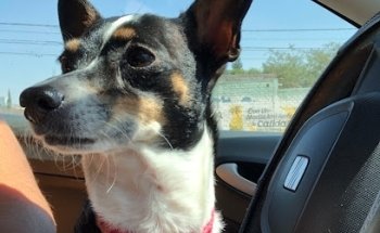 Veterinaria Ani-Mall