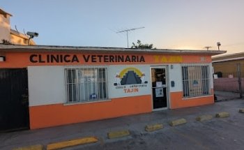 VETERINARY CLINIC TAJIN
