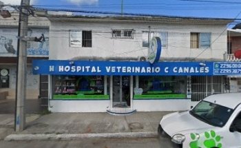 Clinica Veterinaria Canales