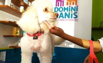 Clínica Veterinaria Domini Canis