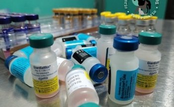 Consultorio Veterinario